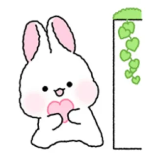 🐇