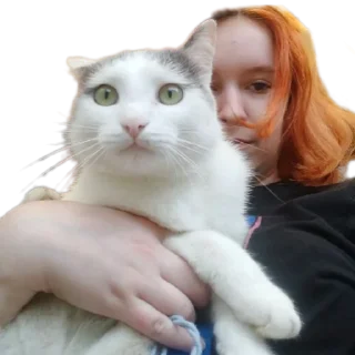 Иринарх