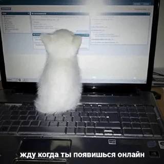 😁