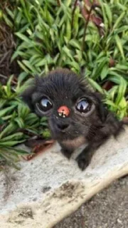 🥰