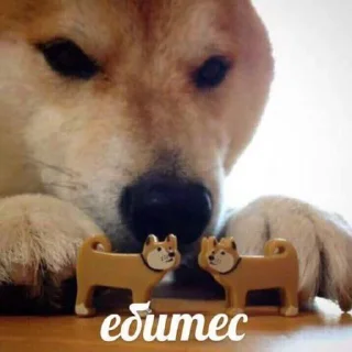 👉