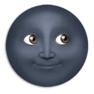 🌚