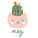 😺