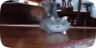 😸