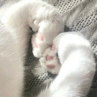 💘