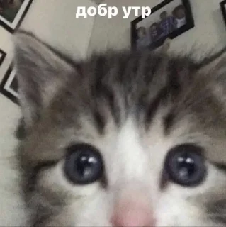 👀
