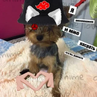 🥰
