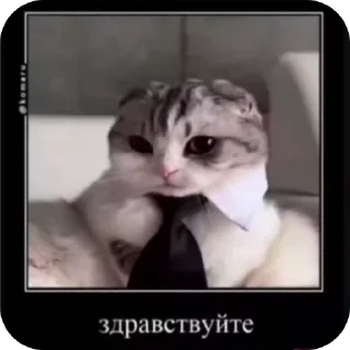 🤩