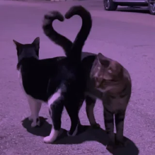 💜