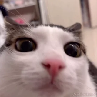 🙃