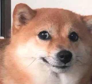 🥺