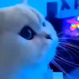 🤩