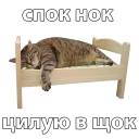 😴