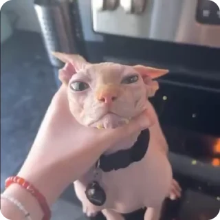 😠