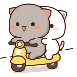 🛵