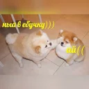 😋