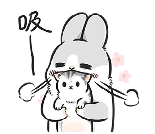 🐱