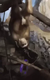🥴