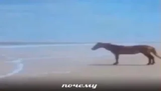 🧐
