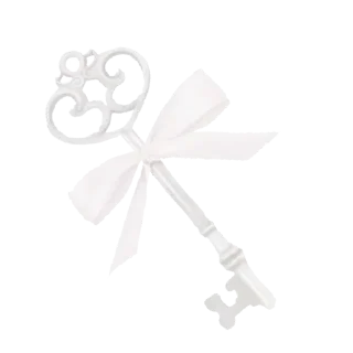 🌟