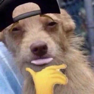 😎