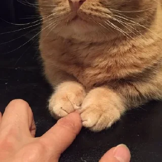 ☝️