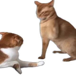 👊