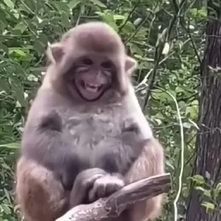 😁