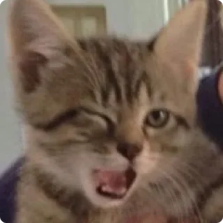 😉