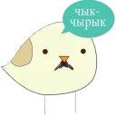 Belarus Sparrow