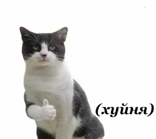 👍