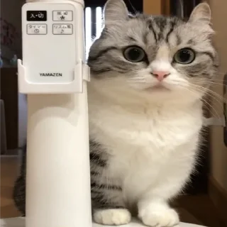 🤯