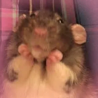 ☺️