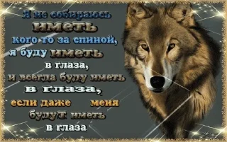 🐺