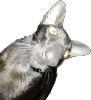 🫠