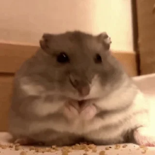 😗
