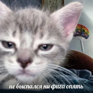😭