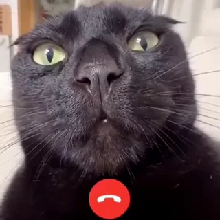 📞