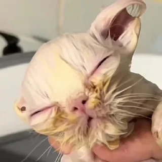 🛁