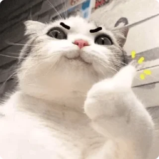 👍