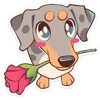 🌹