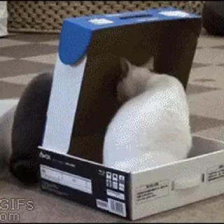 😅