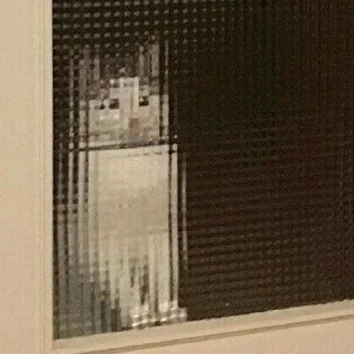 👾