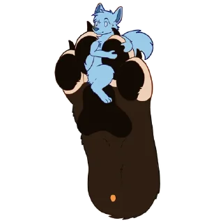 🦊