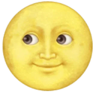 🌝