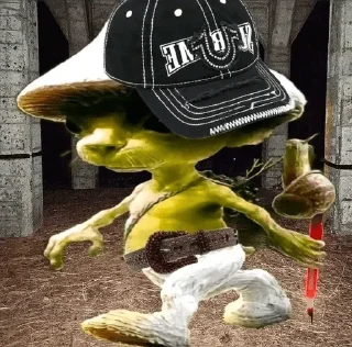 🌟