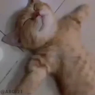 🙂