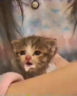 😞