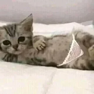 ☺️