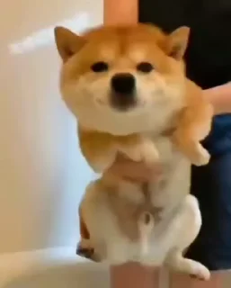 😝